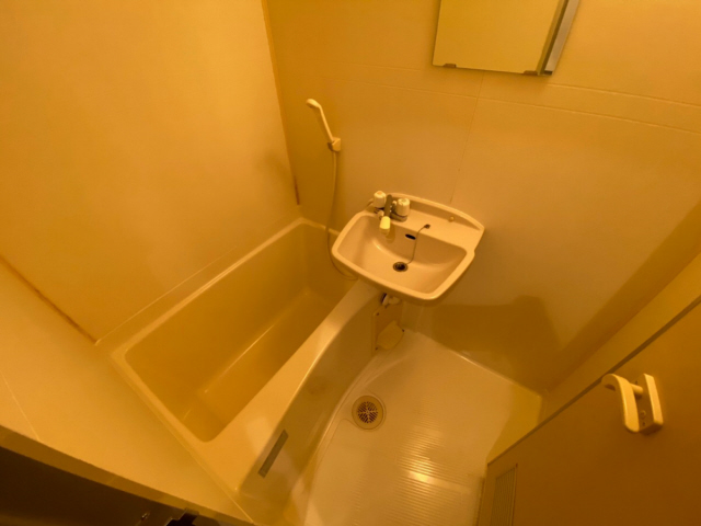 バス・シャワールーム　コンパクトで使いやすいお風呂です