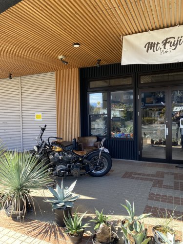 その他　Mt.Fuji plants（マウントフジプランツ）（その他）まで1227m