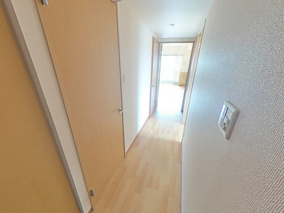 玄関　※別部屋の写真です