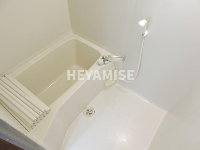 バス・シャワールーム　同一物件※別号室写真