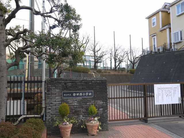 小学校　横浜市立都田西小学校（小学校）まで542m