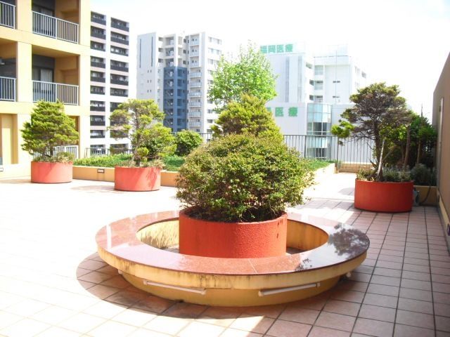 庭