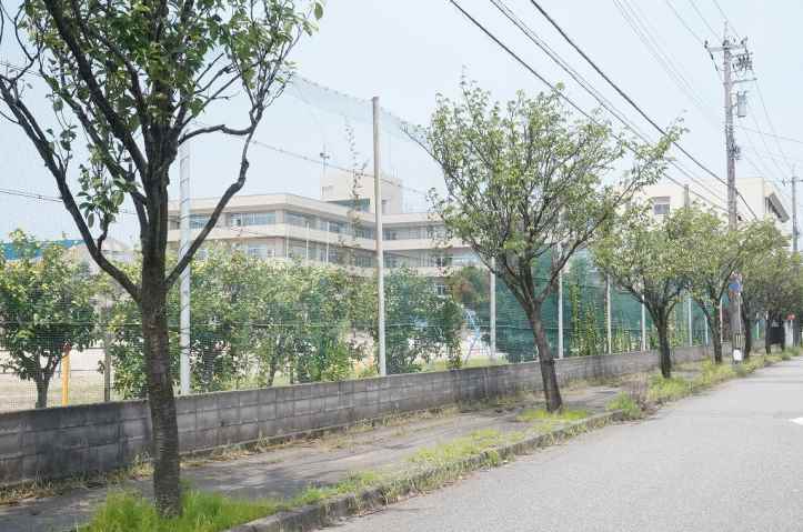 小学校　館野小学校（小学校）まで360m