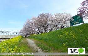 公園　桂川緑地（公園）まで1037m