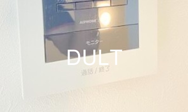 セキュリティ　モニター付きインターホンです。
