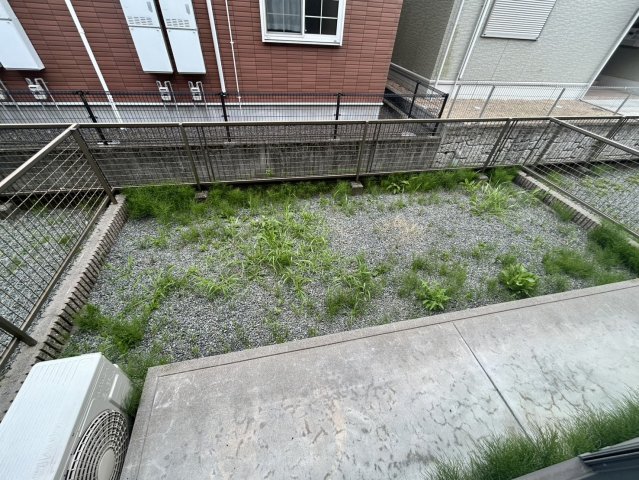 庭