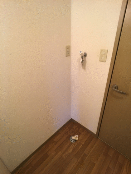 メゾン杉田IIのその他写真