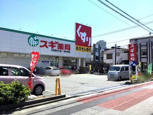 ドラックストア　スギ薬局大田鵜の木店（ドラッグストア）まで623m