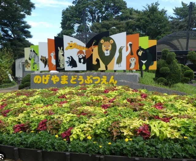 公園　野毛山動物園（公園）まで950m