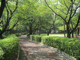 公園　乙川白山公園（公園）まで544m
