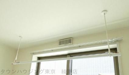 リコリスのその他写真