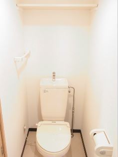 スカイコート文京白山第2のトイレ写真