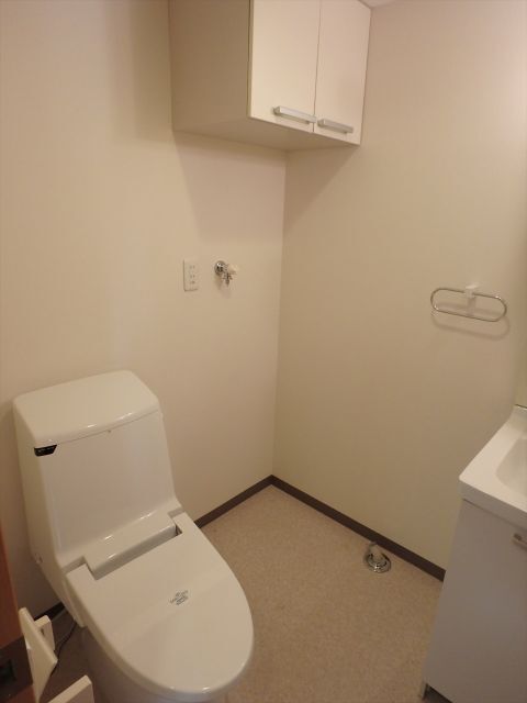 東急田園都市線 桜新町駅 徒歩12分 2階建 築17年のトイレ写真
