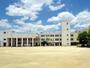 小学校　大阪市立加美南部小学校（小学校）まで625m