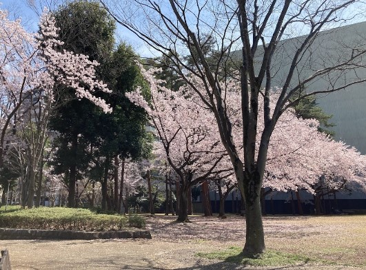 公園　竹園西公園（公園）まで401m