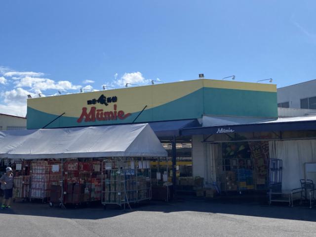 スーパー　四季食彩館ムーミー三本松店（スーパー）まで1195m