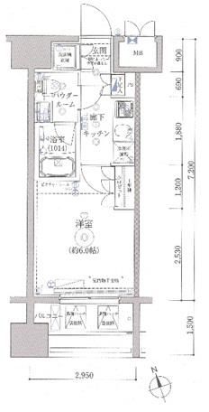 ライジングプレイス川崎の間取り