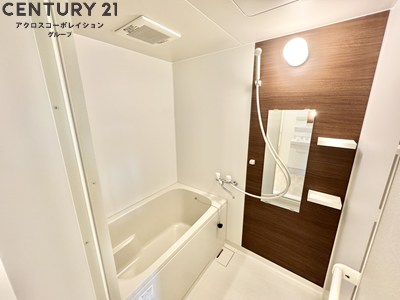 バス・シャワールーム　シャンプーなど置けるスペースあり。