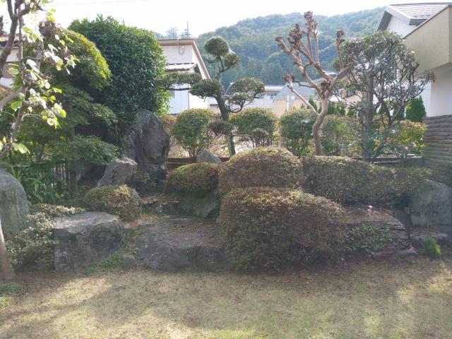 庭　手入れの良い庭です