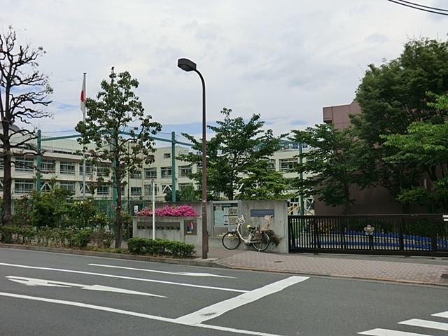 小学校　渋谷区立加計塚小学校（小学校）まで571m