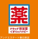 ドラックストア　ドラッグ新生堂春日原駅前店（ドラッグストア）まで669m