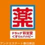 ドラックストア　ドラッグ新生堂春日原駅前店（ドラッグストア）まで669m