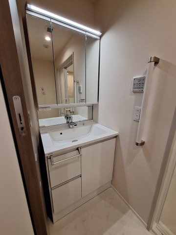 洗面設備　鏡面裏に収納あり/ホースヘッド