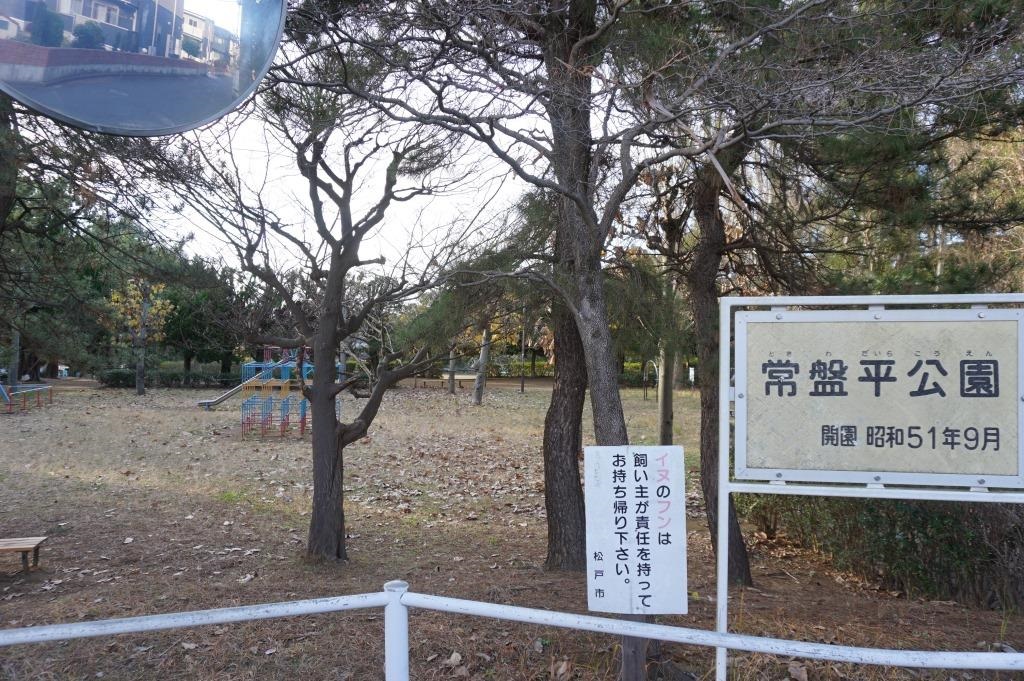 公園　常盤平公園（公園）まで330m