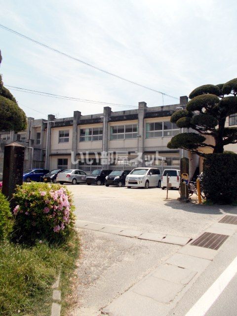小学校　真津山小学校（小学校）まで437m