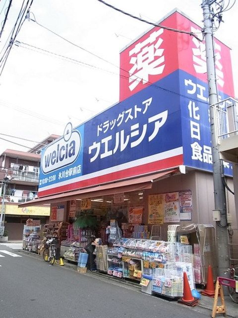 ドラックストア　ウエルシア薬局練馬向山店（ドラッグストア）まで690m