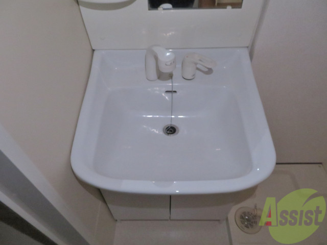 洗面設備　シャワー付きの洗面台なので支度が楽になりそう。