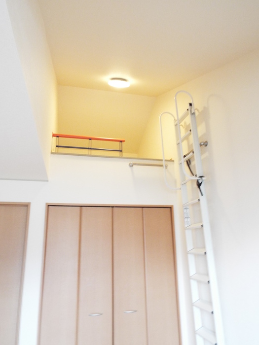 その他　ロフウト