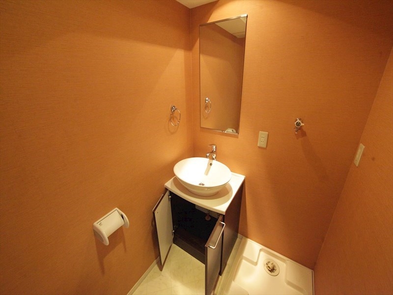 洗面設備　脱衣所　デザイン洗面台　室内洗濯機置き場