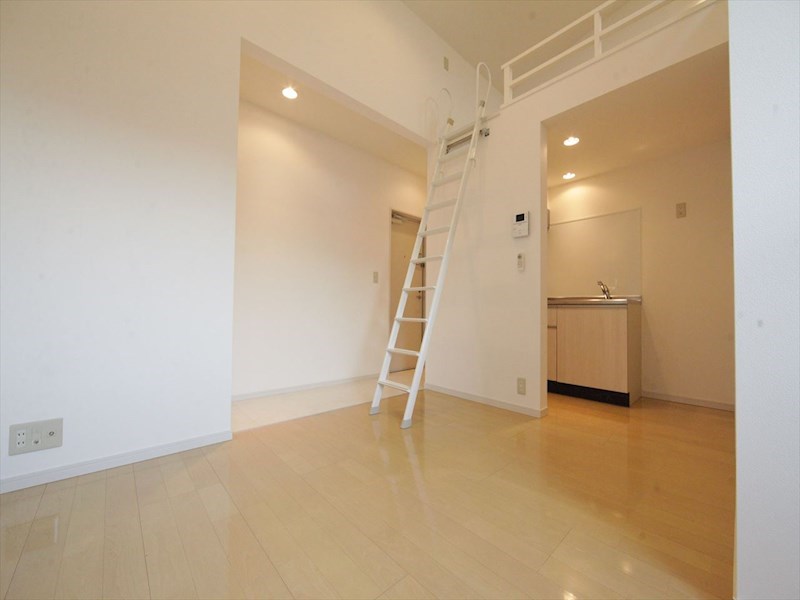 居室・リビング　洋室9.1帖　ロフト5.3帖（収納にも寝室にも使用できます）