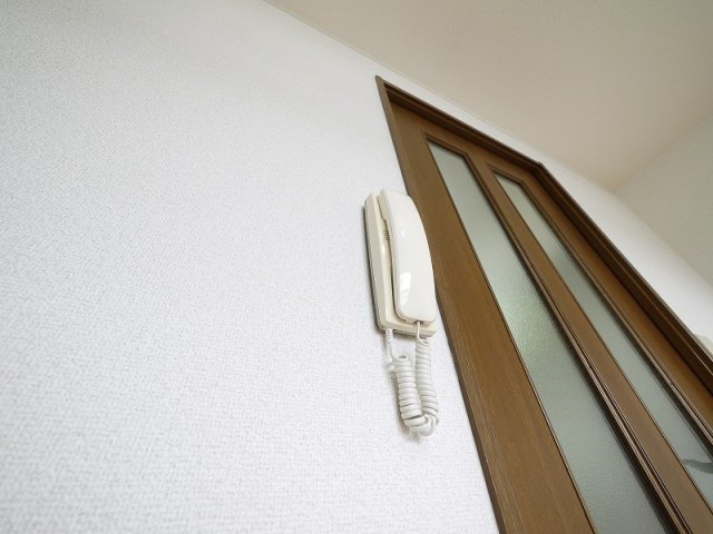 セキュリティ　インターホン付きで安心ですね。