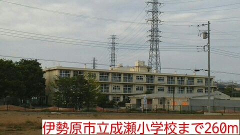 小学校　伊勢原市立成瀬小学校（小学校）まで260m