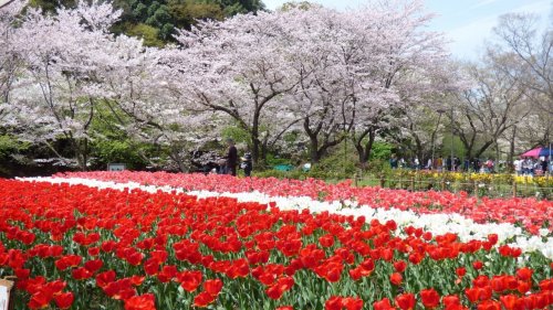 公園　泉の森（公園）まで873m