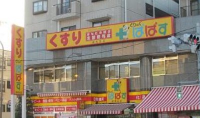 スーパー　どらっぐぱぱす 西馬込店（スーパー）まで239m