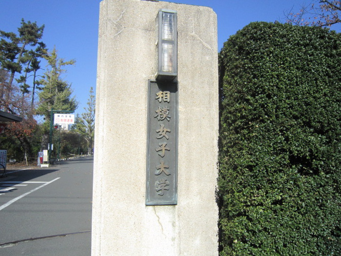 大学・短大　相模女子大学（大学・短大）まで554m
