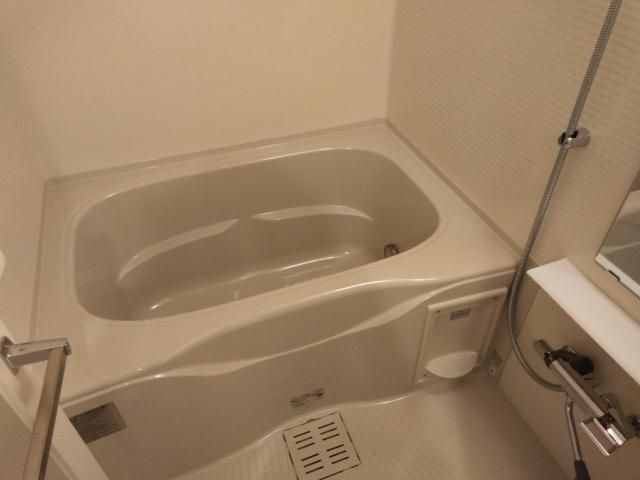 バス・シャワールーム　別タイプ部屋　参考写真です