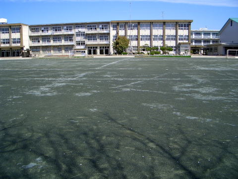 小学校　一宮市立神山小学校（小学校）まで484m