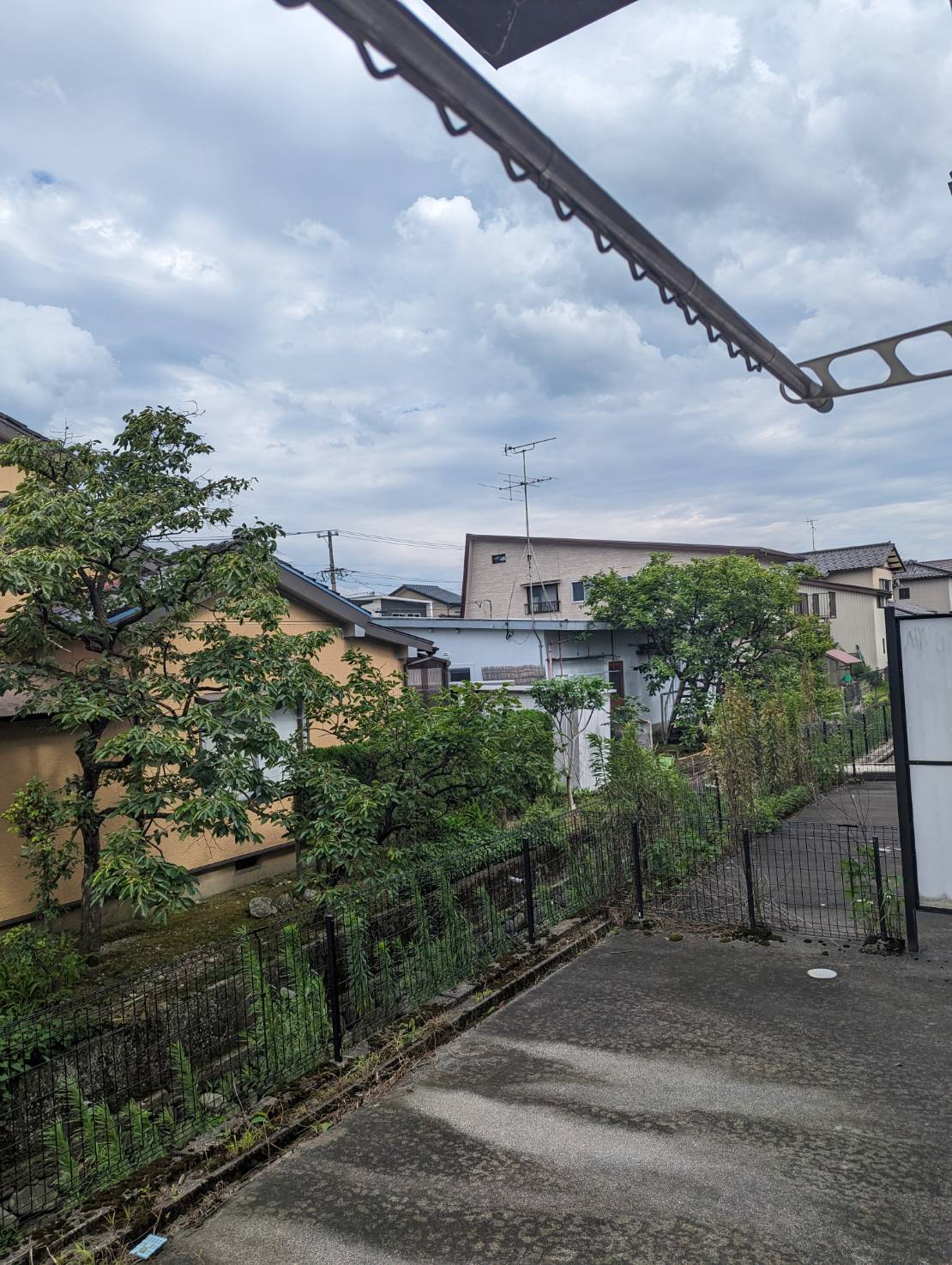 庭