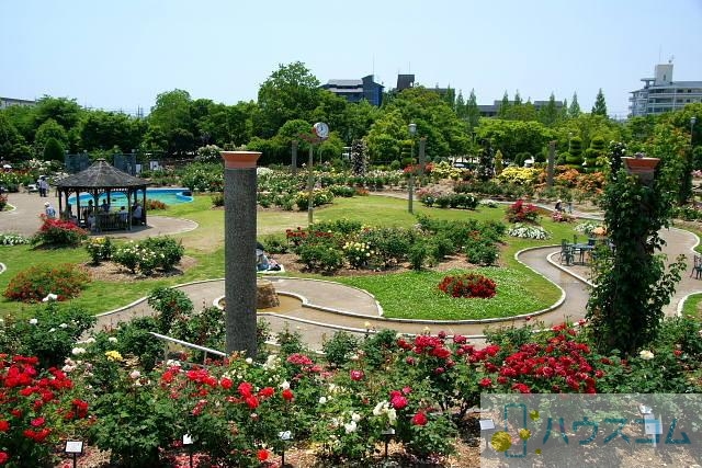 公園　若園公園（公園）まで172m