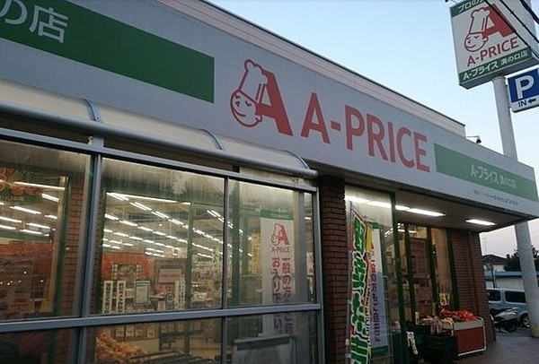 スーパー　A－プライス溝の口店（スーパー）まで744m
