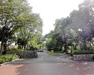 公園　祇園橋緑地（公園）まで388m