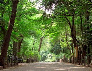 公園　林試の森公園（公園）まで221m