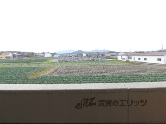SMILEのその他写真