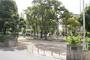 公園　国分公園（公園）まで252m
