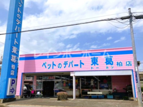 その他　ペットのデパート東葛 柏店（その他）まで602m