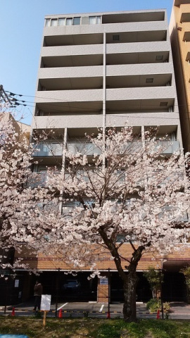 建物外観　全戸南向きで日当たり解放感が良好です。